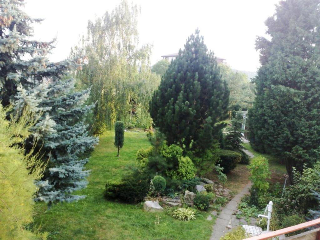 Apartman S Krbem 奥洛穆茨 外观 照片