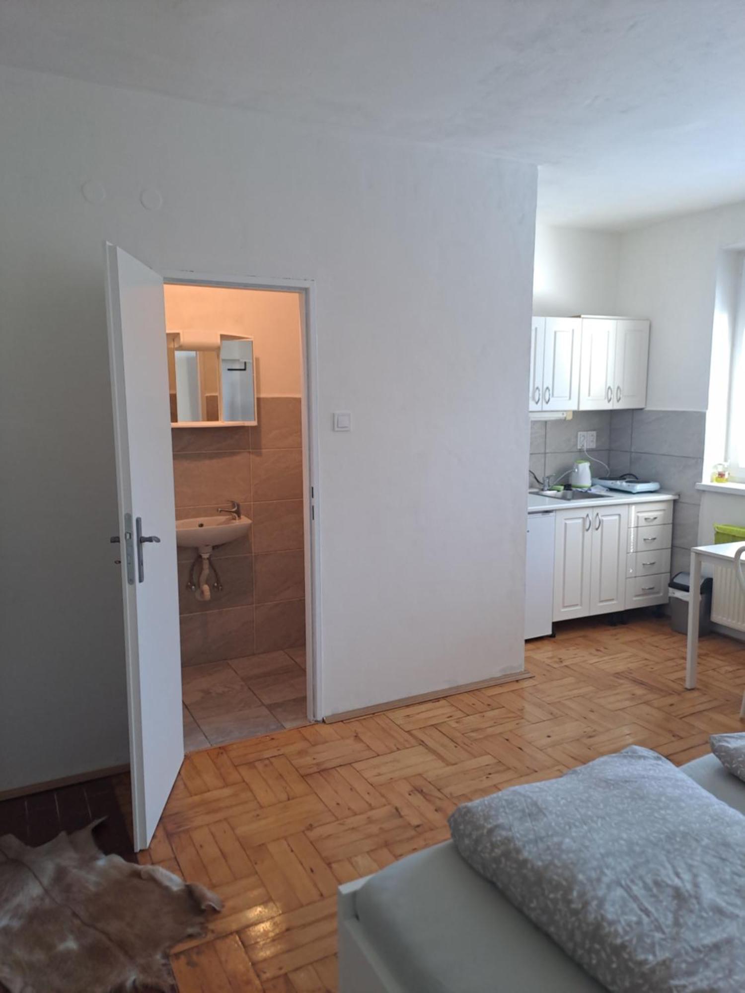 Apartman S Krbem 奥洛穆茨 外观 照片